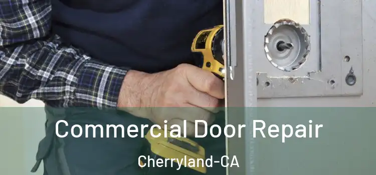  Commercial Door Repair Cherryland-CA