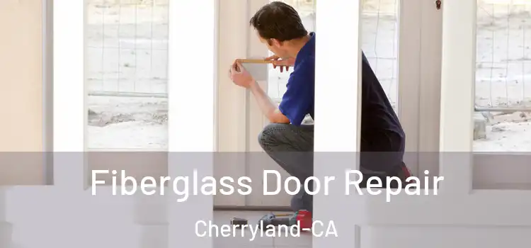  Fiberglass Door Repair Cherryland-CA