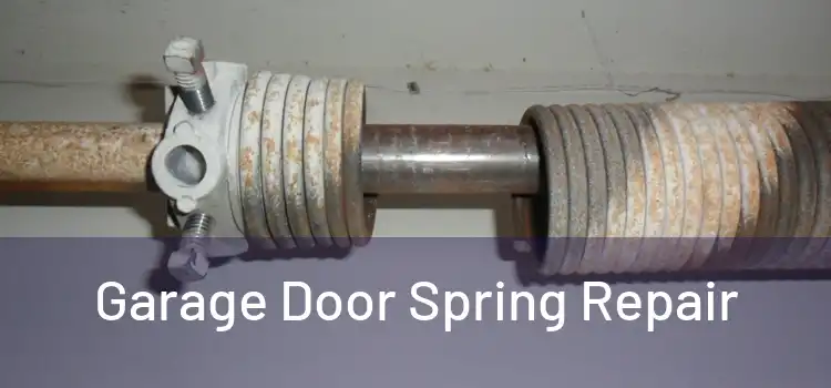  Garage Door Spring Repair 