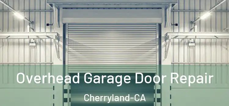 Overhead Garage Door Repair Cherryland-CA