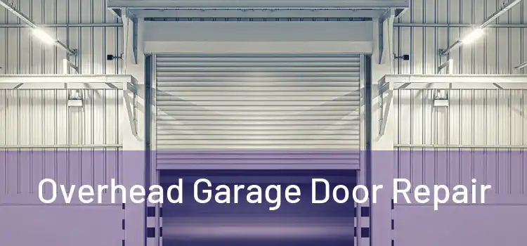  Overhead Garage Door Repair 